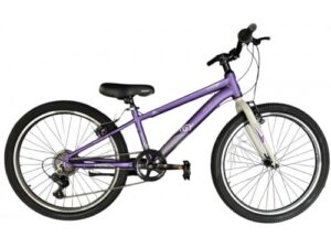 Energy Enigma 24"