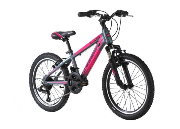 CARRERA M2 1000 - Image 2