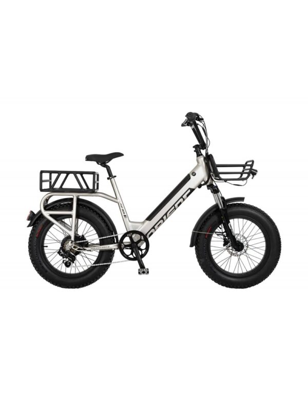 ORIENT E BIKE FAT BOY 20”